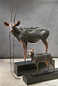 antelope_7