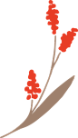 线性花草手绘插画 (4)