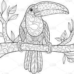 可爱的,巨嘴鸟,成年的,动物,鸟类,洋葱花,乱画,着色,花