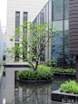 重庆招商·花园城小区景观设计项目 - 居住景观 