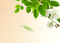 首页-朱尔旗舰店-天猫Tmall.com