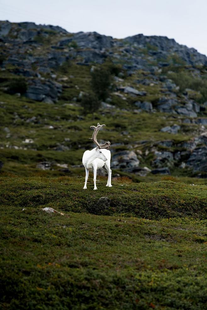 Nature | Unsplash : ...