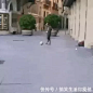 是球踢你还是你踢球？