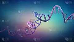由核苷酸组成的核糖核酸链- 3d插图