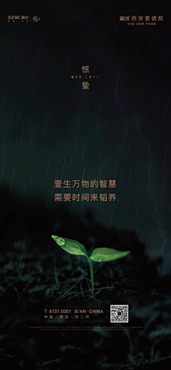 蒋奶奶YYDS采集到1-节日节气海报