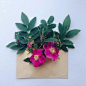 【乌克兰艺术家Anna Remarchuk的Envelope Series摄影作品】—— 花与信封的相遇，将生活的种种美好定格。