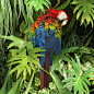 Canopy : "Canopy", a new large-scale image created as a diptych, featuring a highly stylized and patterned vision of the jungle canopy, with tropical plants, hibiscus flowers, and red macaws. I wanted to create a beautiful and captivating image 