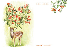 MOKA明信片采集到【合集】莫小鹿