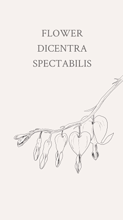 【鹏飞uncle采集到花