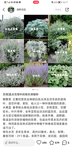 里拉拉拉采集到花境植物