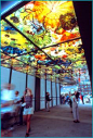 Chihuly | Chihuly Bridge of Glass &#;171 The Solutia World of Color Awards ...
