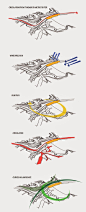 L.S.E. Mills: Site Analysis Diagrams