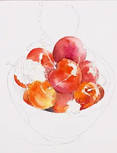 水彩、绘画、手绘、写实、写生、颜料、新手教程、水彩画入门、上色、初学者、风景、花卉、植物、钢笔淡彩、铅笔淡彩、装饰画、插画、漫画、手绘、自学、又画、动漫、插画