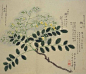 花月令




正月：兰蕙芬。瑞香烈。樱桃始葩。径草绿。望春初放。百花萌动。





二月：桃始夭。玉兰解。紫荆繁。杏花饰其靥。梨花溶。李花白。





三月：蔷薇蔓。木笔书空。棣萼韡韡。杨入大水为萍。海棠睡。绣球落。





四月：牡丹王。芍药相于阶。罂粟满。木香上升。杜鹃归。荼穈香梦。





五月：榴花照眼。萱北乡。夜合始交。薝匐有香。锦葵开。山丹赪。





六月：桐花馥。菡萏为莲。茉莉来宾。凌霄结。凤仙绛于庭。鸡冠环户。





七月：葵倾日。玉簪搔头......