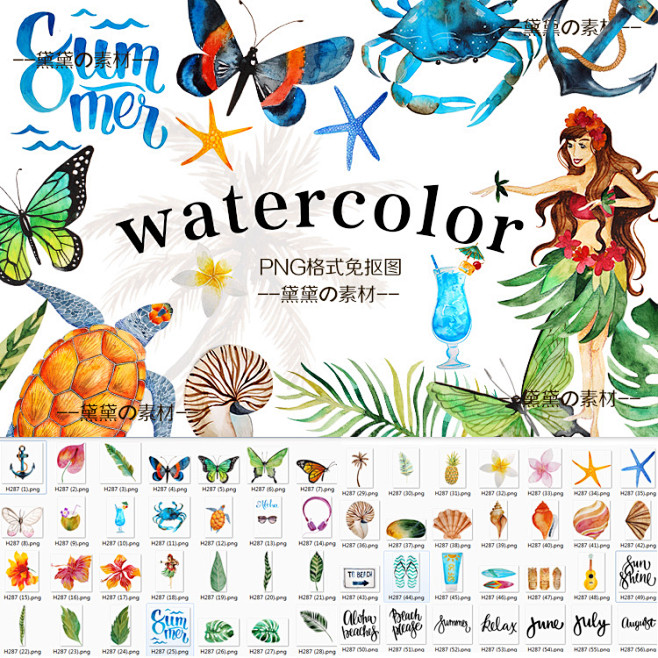PS手绘水彩夏天海洋风螃蟹海龟叶蝴蝶PN...