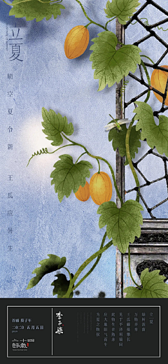 DCRe采集到节假日banner