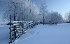 大雪图片高清桌面电脑壁纸