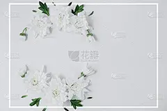 创造性的花组成。白花花圈，白底白框。春季和夏季概念。平铺，拷贝空间