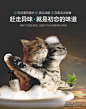 新猫咪泡沫浴露详情4444_05.jpg