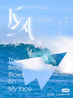小张m采集到新港风