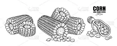 一套成熟的玉米手绘插图