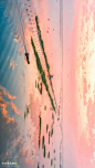 王勃《滕王阁序》“落霞与孤鹜齐飞，秋水共长天一色”的鄱阳湖面积3206.98km²，中国第二大湖；摄影师@廖昊