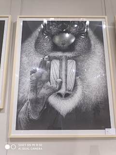 cZ1S8Gra采集到首届中国插画展
