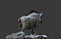 robinpulpatt-wild-boar-muscle-ana-3-0a2f1e96-l5ou