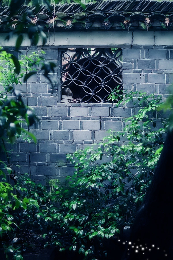 楝花飘砌，蔌蔌清香细。梅雨过，萍风起。情...