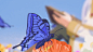 GIF 2024-5-4 15-09-37