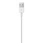 Lightning to USB 连接线 (1 米)