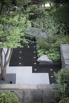 怎么什么名字都有人取采集到· L | garden-水景