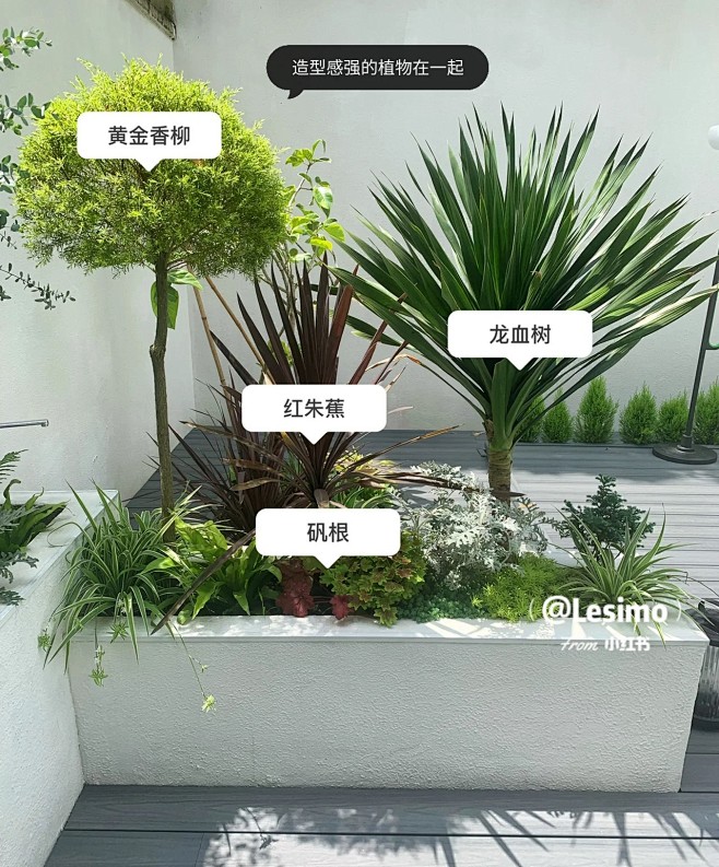 植物配置实景 (166)