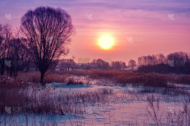 冬天的风景。乡间的傍晚。日落与美丽的梯度天空在田野覆盖着雪。带着神奇光芒的乡村景观。