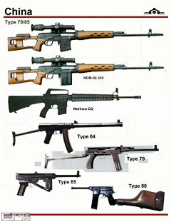 ShawnWang·王虓采集到热兵器