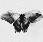 (1601) Pinterest
