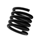 Spring_Thin_Tall0002