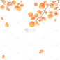 秋季黄色树叶飘落元素