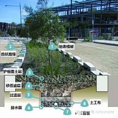 smile王木木采集到【H】雨水花园