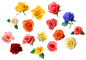 w11  #花# png