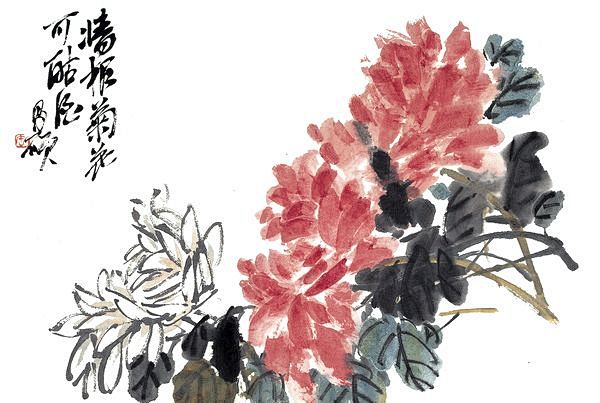 菊花