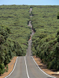 Flinders Chase National Park, Kangaroo Island. Australia. - Pixdaus