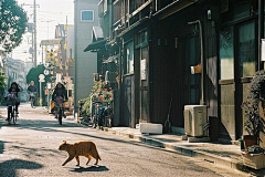 姚晟超采集到街道场景