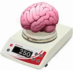 脑子有病  二百五 250 表情包