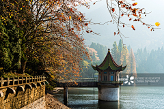 纳米MM采集到家乡