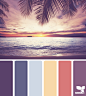 Design Seeds® | find your palette