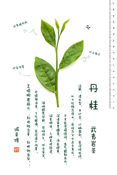 nxh001采集到版式