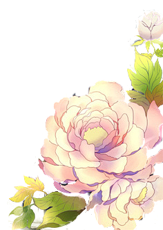 凌妮采集到花类