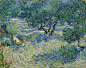 1280px-Vincent_van_Gogh_-_Olive_Orchard_-_Google_Art_Project.jpg (1280×1009)