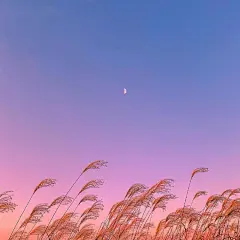 #压力太大的时候会怎么样#想找一个人的地方哭，但是却没有。 ​​​​